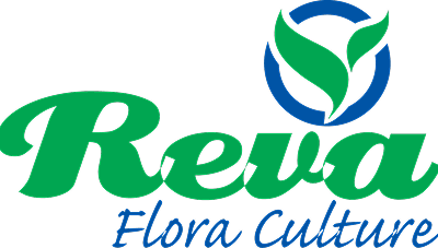 Reva Flora Culture